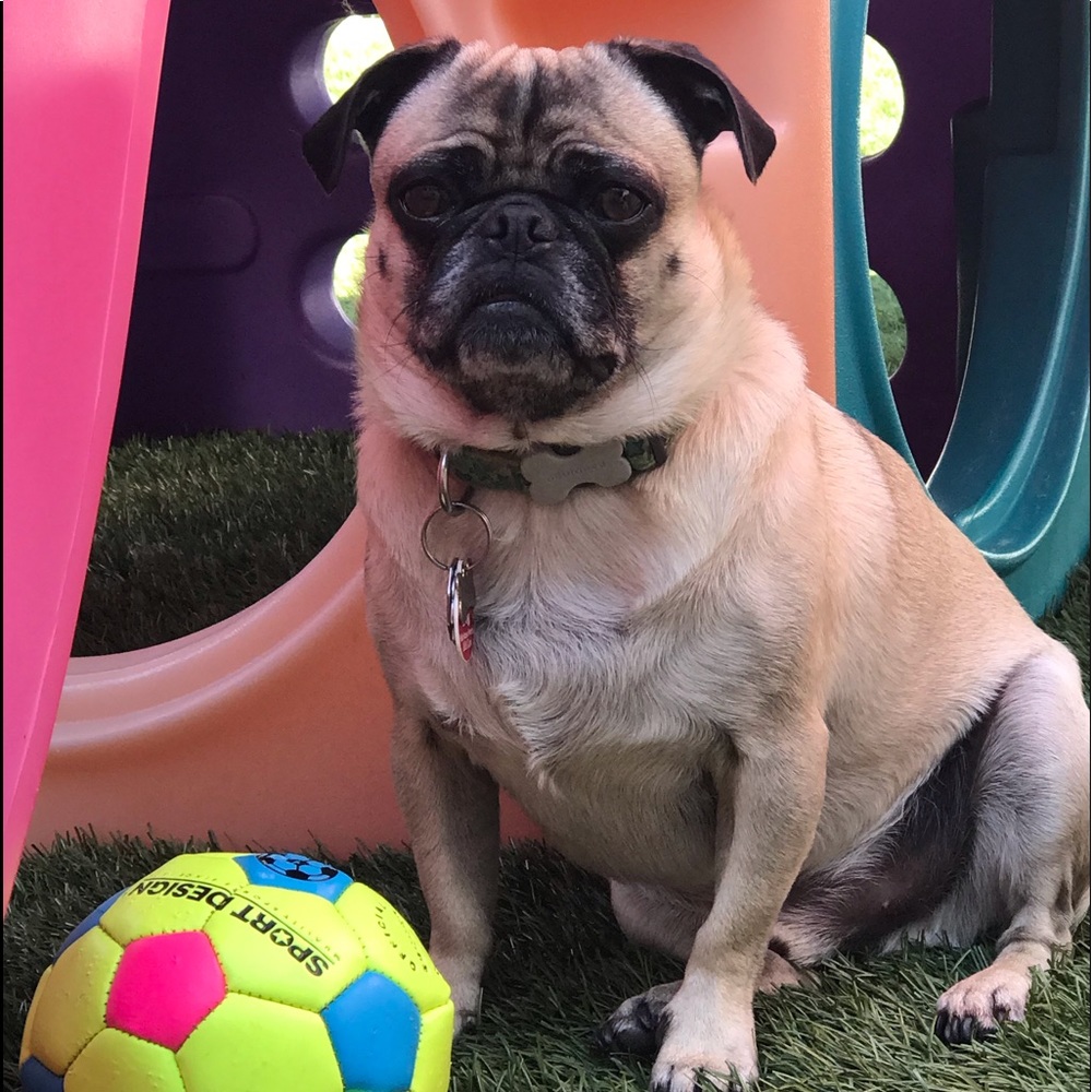 Meet your Posher, Joan